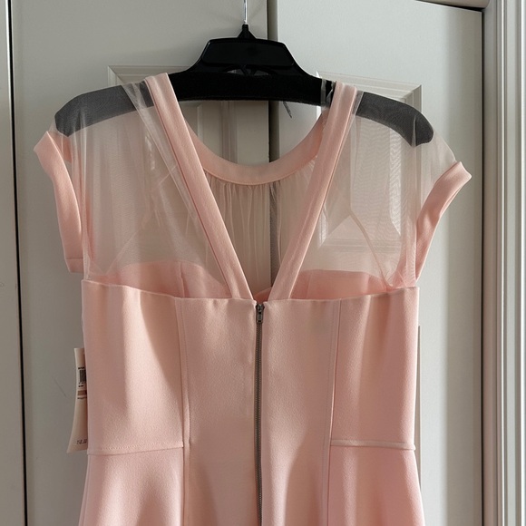 Maggy London Elegant blush Pink illusion sheath Dress - Picture 4 of 8